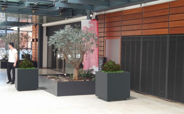 Insertion 3D de deux jardinières CUB grises dans un centre commercial