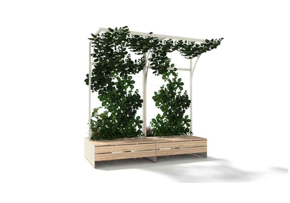 Pergola vegetalise CUB