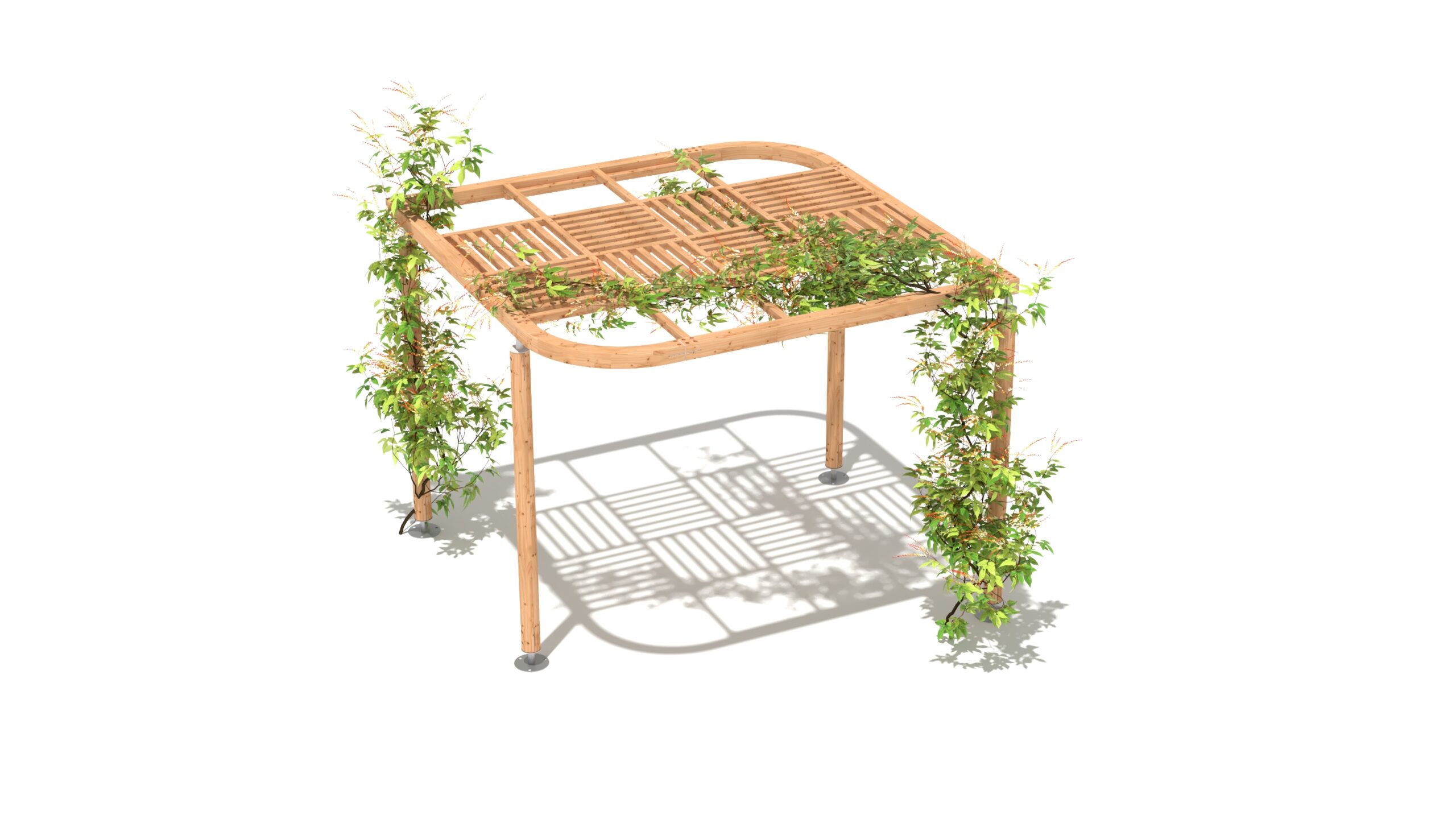 PERGOLAS DUN PER PERSIENNE 50VEGE